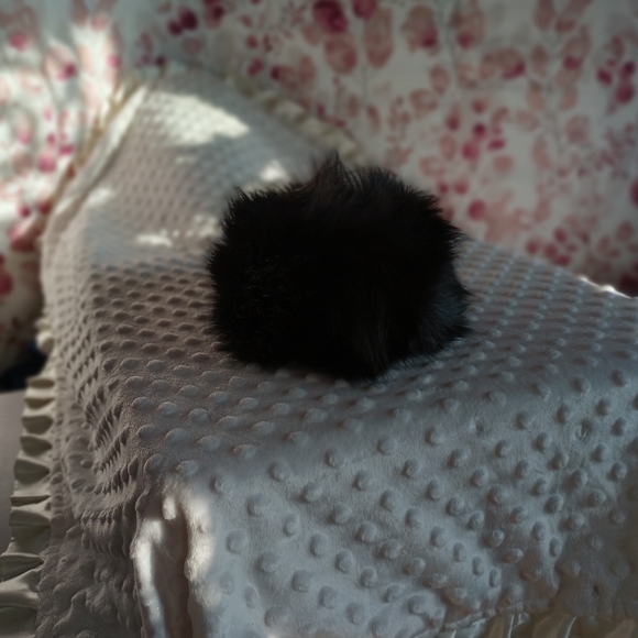 Animal Fur cuff - Picture 5 of 6